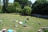 Vue sur le parc